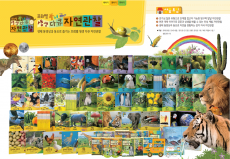 프뢰벨 자연관찰 . 동요로 즐기는 생생자연관찰